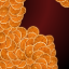 Picture of Dried Orange Slices